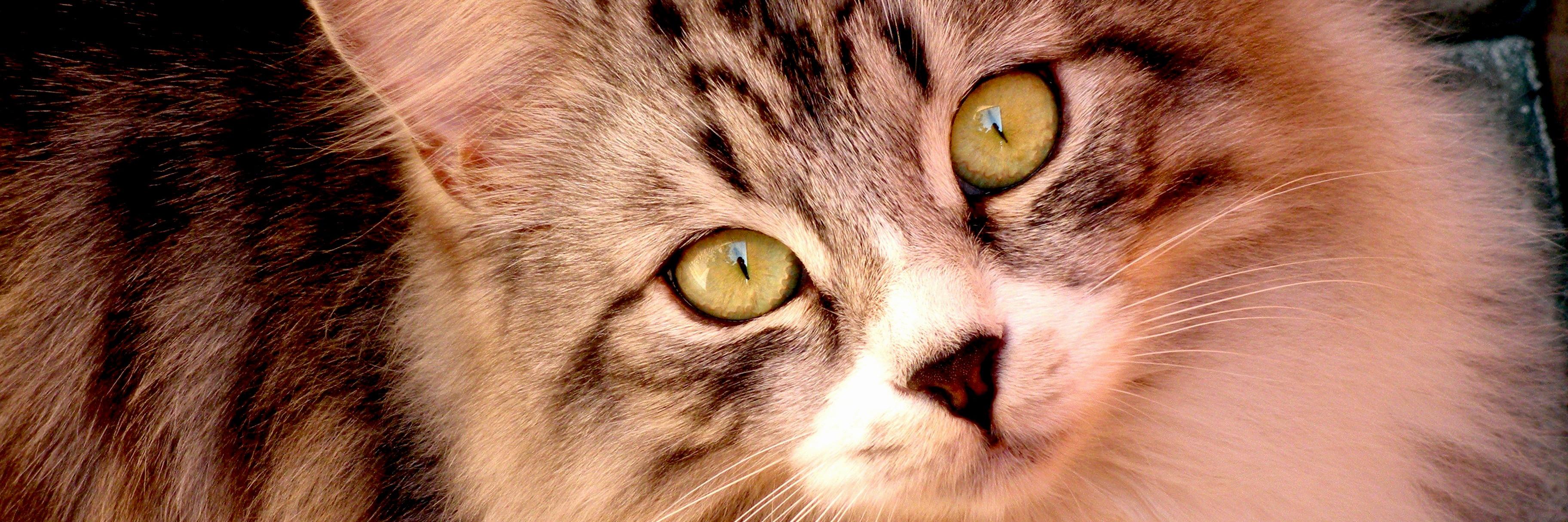 Baby970's profile banner image