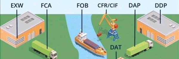 PashaDoga Profile Banner