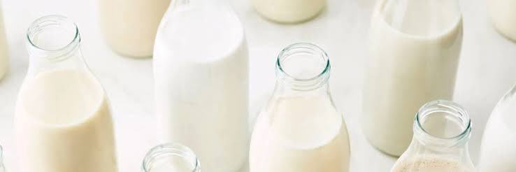 THE MILKING STUDIO banner