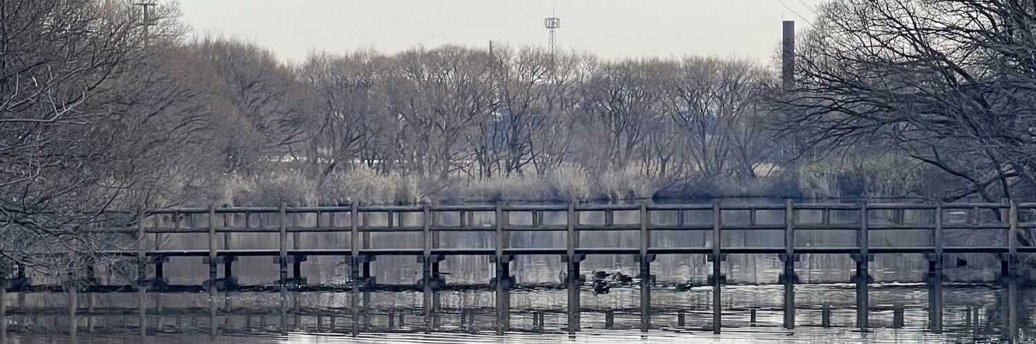 あらもね。 banner