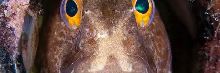 bethmorr2's profile banner image