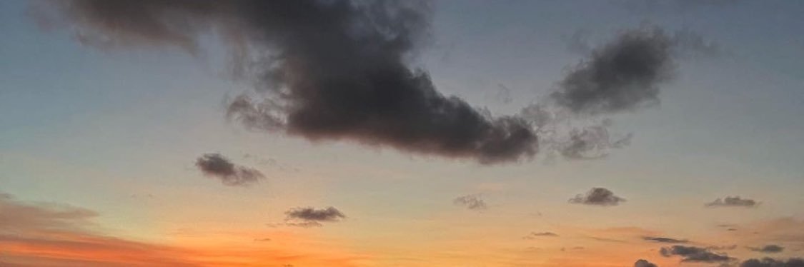 a. banner