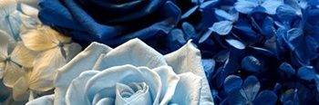 Lucilla più felice banner