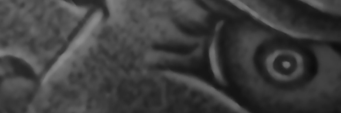 Hntysr's profile banner image