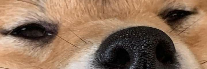 lasherunda's profile banner image