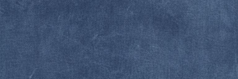 inesinesines banner