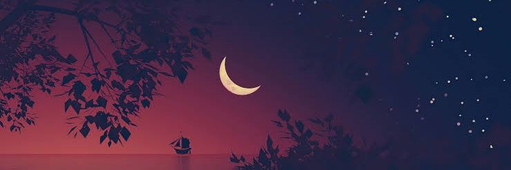 Educated_fools_'s profile banner image