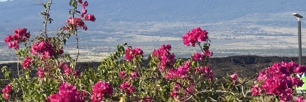 StelladotCrypto Profile Banner