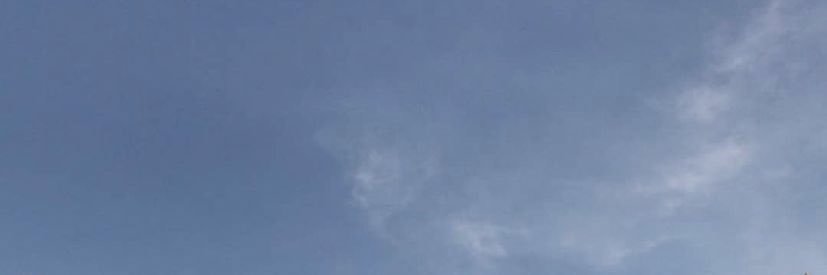dollay.py banner