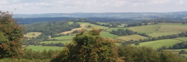 Becky_BMS Profile Banner