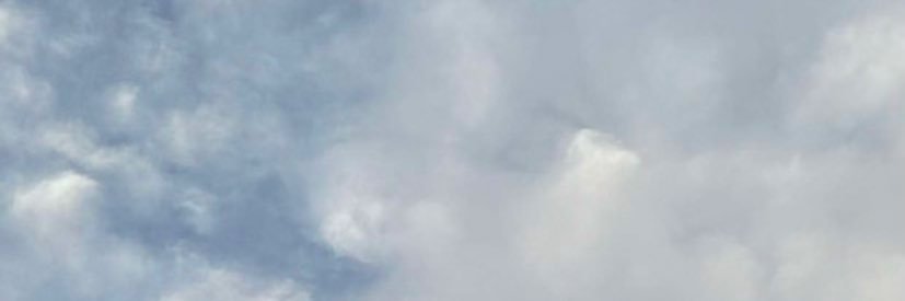 m banner