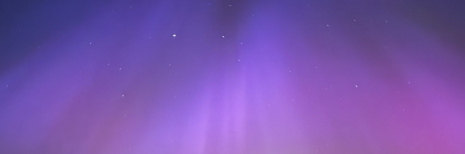 Laura McCallion banner