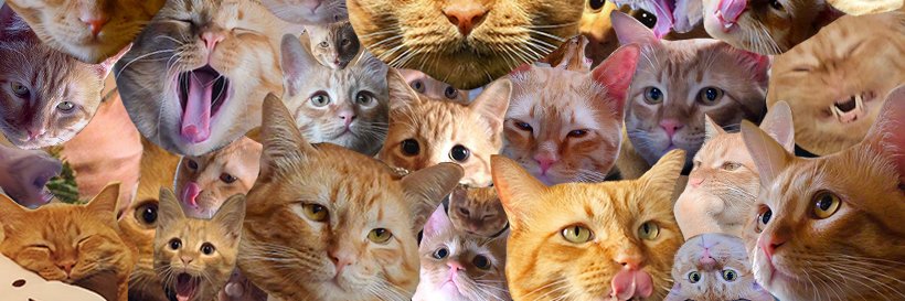 ChillingShotra's profile banner image