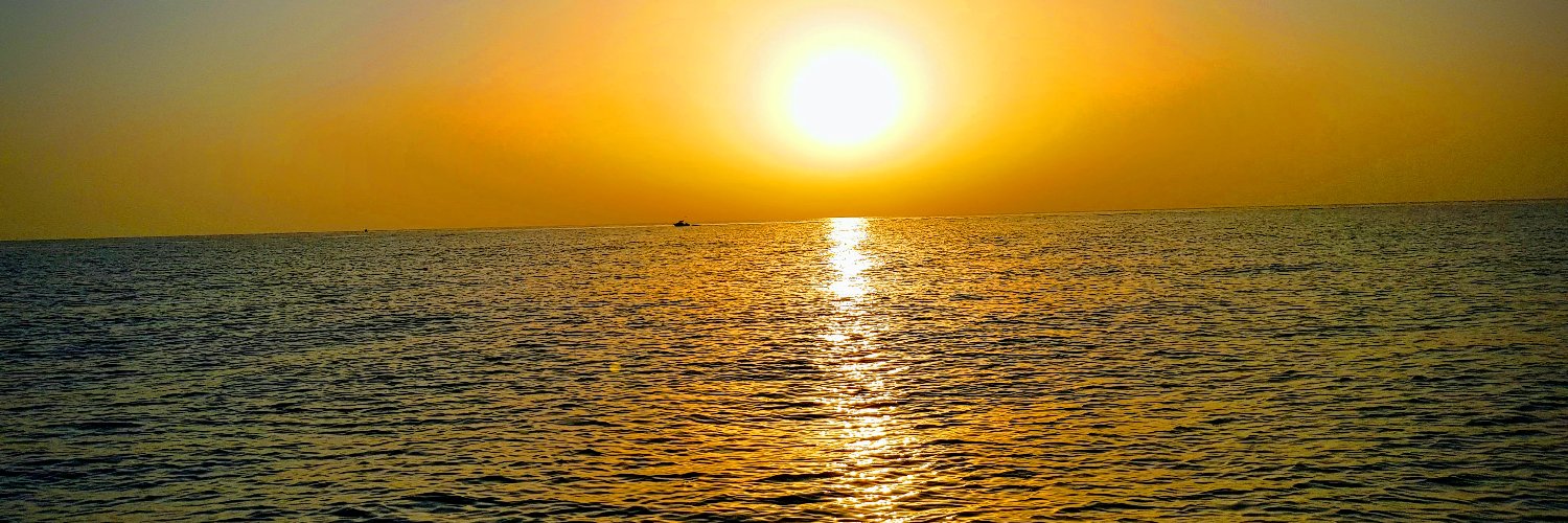 Pedro Fernández de Córdoba banner