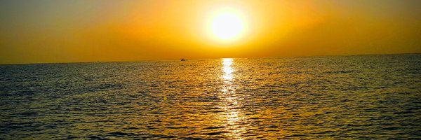 pedrofcm Profile Banner