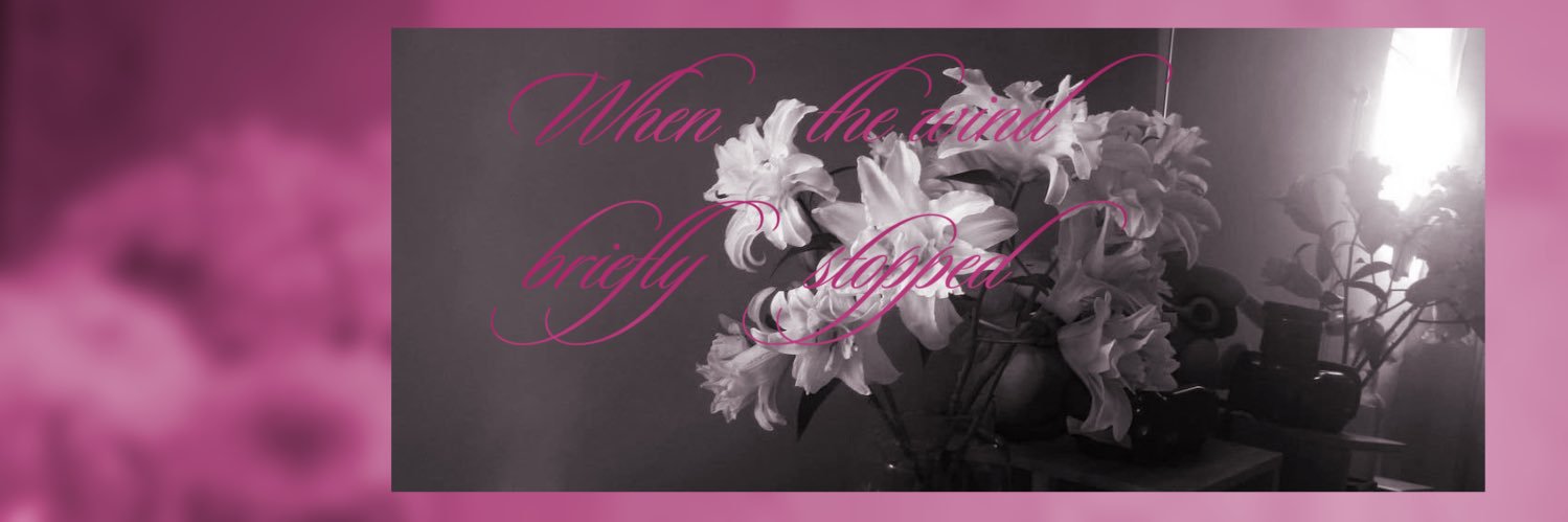 no labels just lama banner