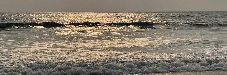 yssaiwitara's profile banner image