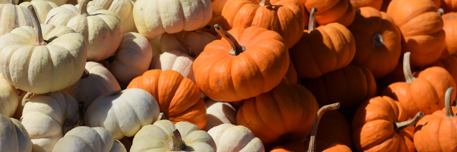 Nikon USA Support banner