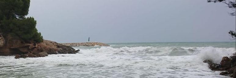 RiveraPepi's profile banner image