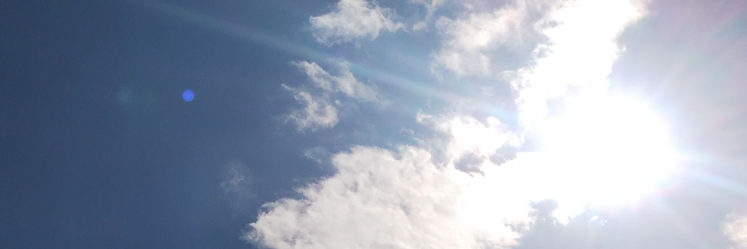 🍀えるもんゆきこ🍀 banner