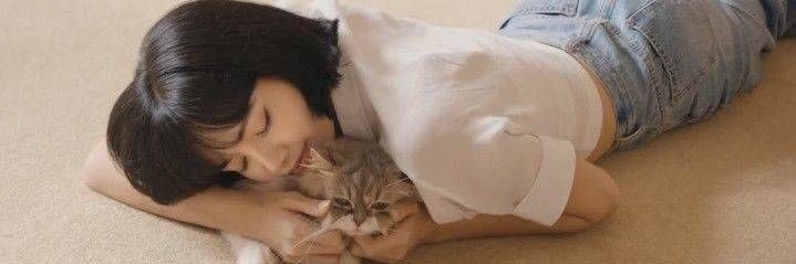lanlanlalisa's profile banner image