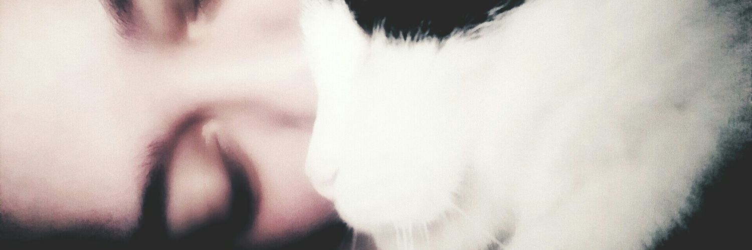 Picisiosa's profile banner image