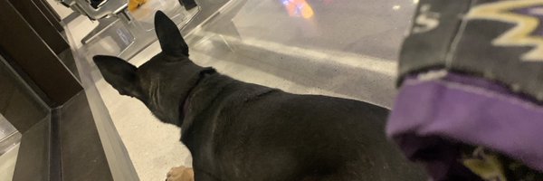Bayyker Profile Banner