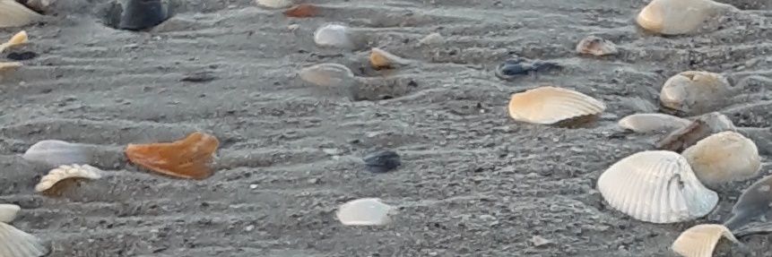 Thomas Babilon banner