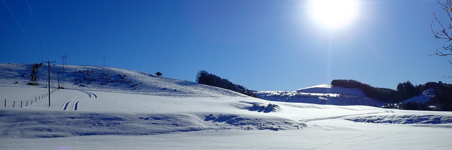 LesleyMac's profile banner image