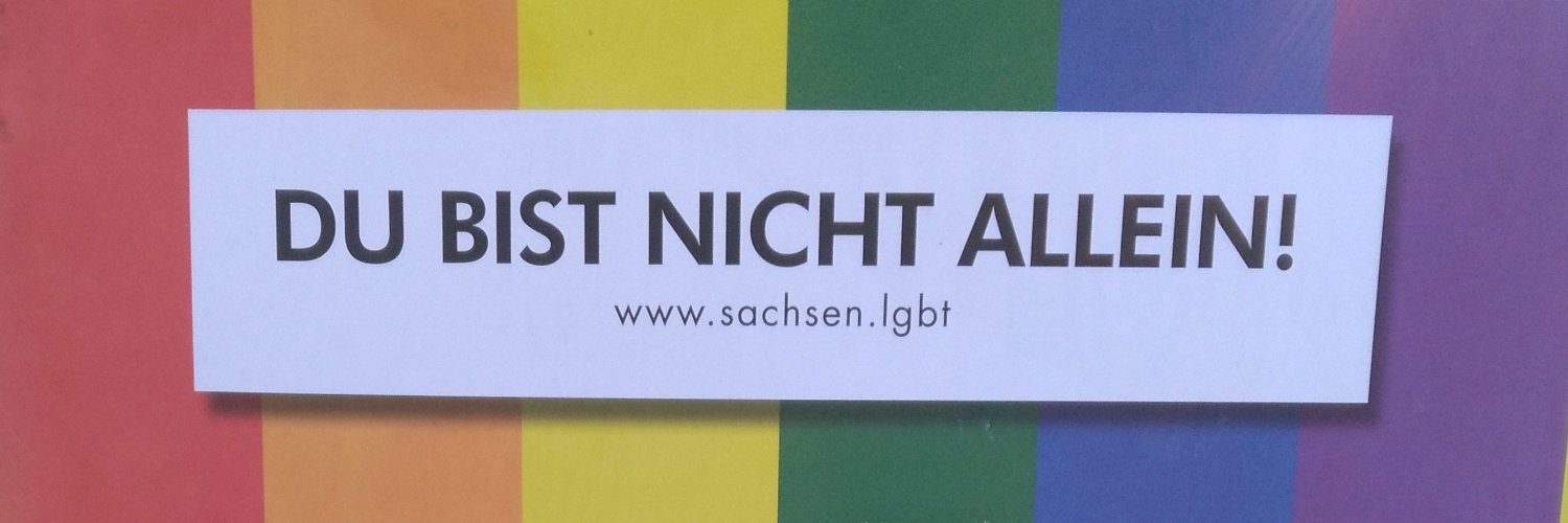 Zebrastreifen mit 4 Rädern banner