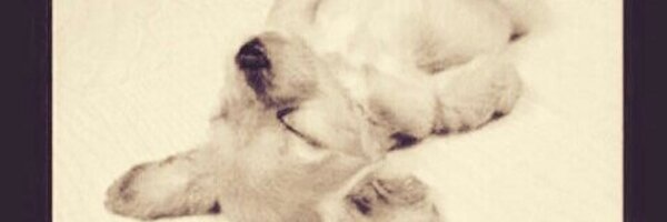 CrisMC Profile Banner