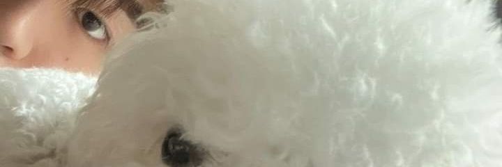 mwekeymouse's profile banner image