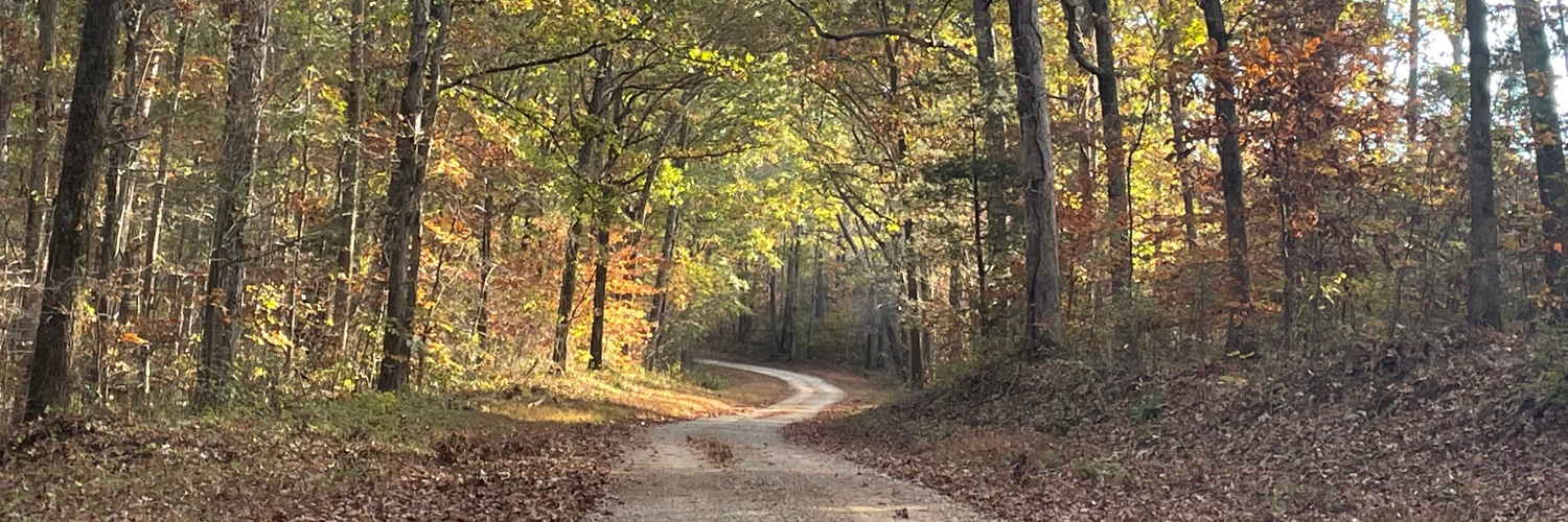 Brett Anderson banner