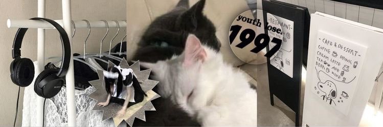 lq vivi banner