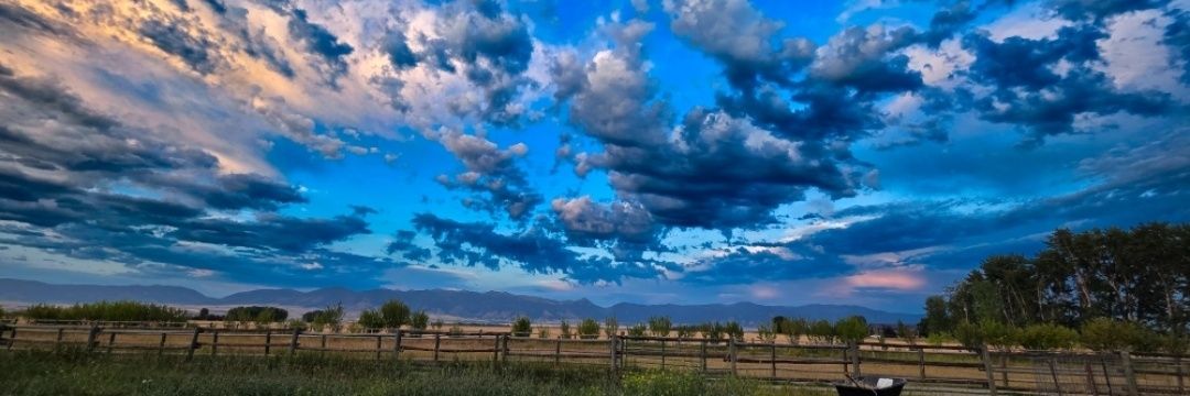 Skeptical Ginger 🇺🇲 banner
