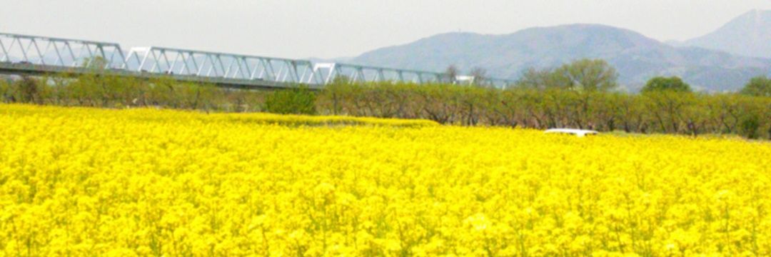 chiboh_st's profile banner image