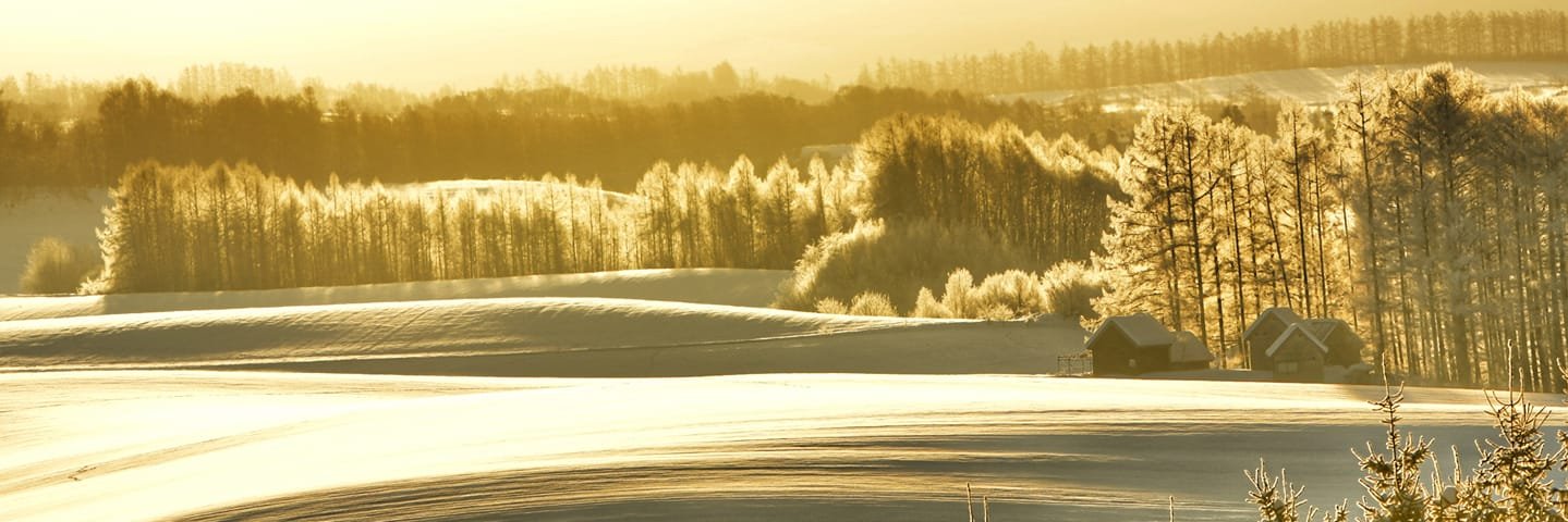 echikano's profile banner image