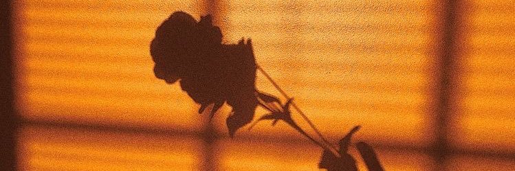 memyselfanduh's profile banner image