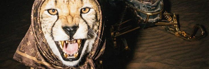 AnkigAg's profile banner image