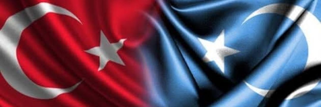 f_dmn_tr's profile banner image