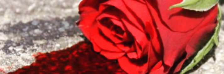 shantavanee banner