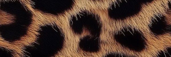 kaykiire Profile Banner