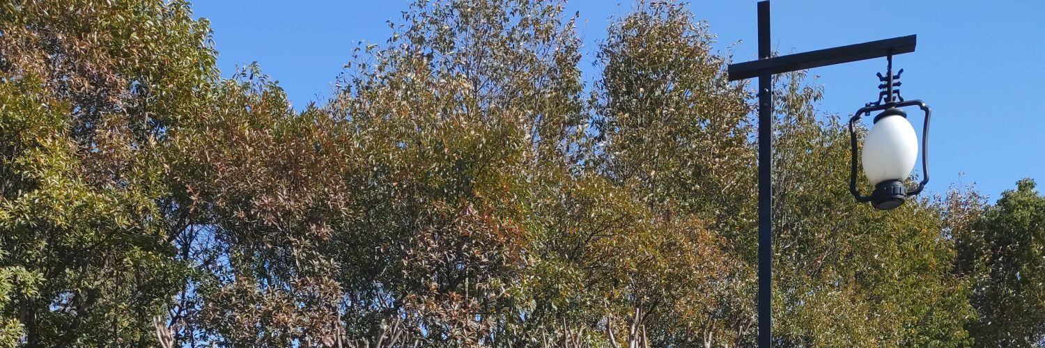 wangquanmolu's profile banner image