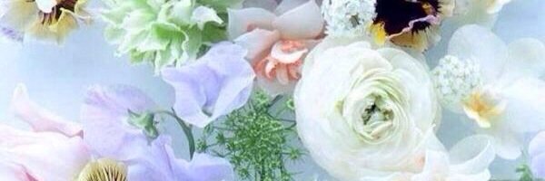 chisatonano's profile banner image