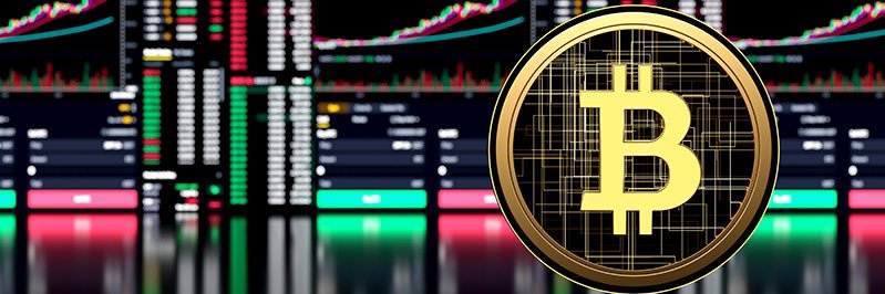 Crypticker크립티커🇰🇷 banner