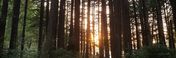 tech_apac Profile Banner