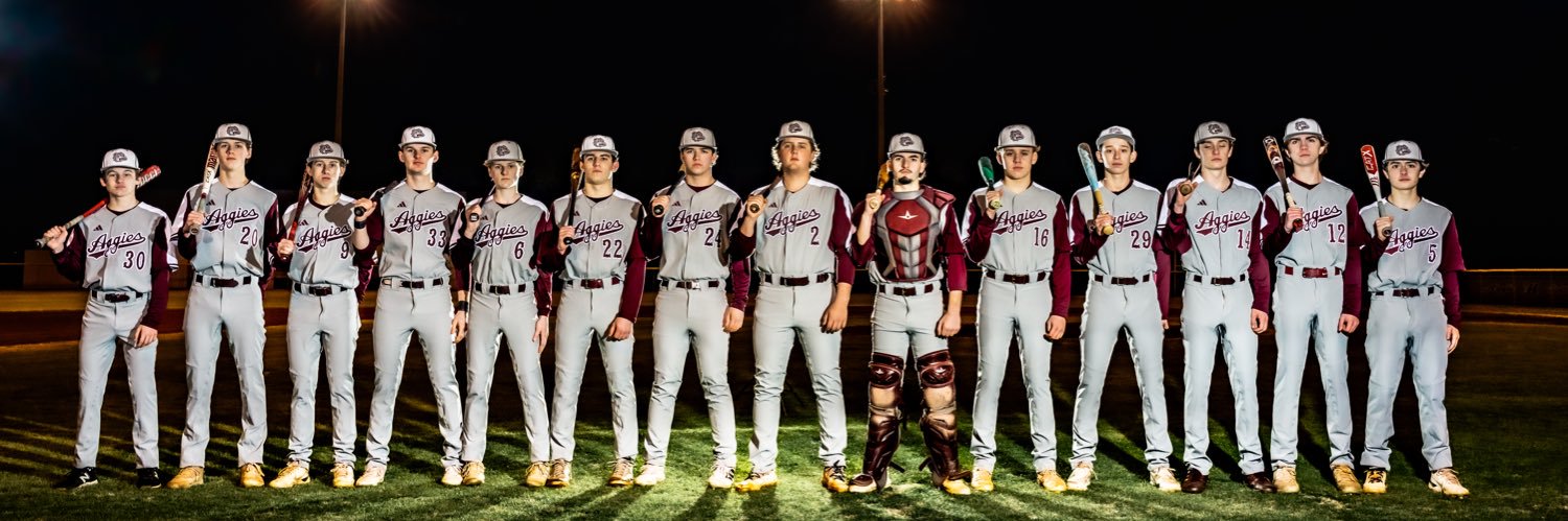 Hamilton Aggie Baseball banner