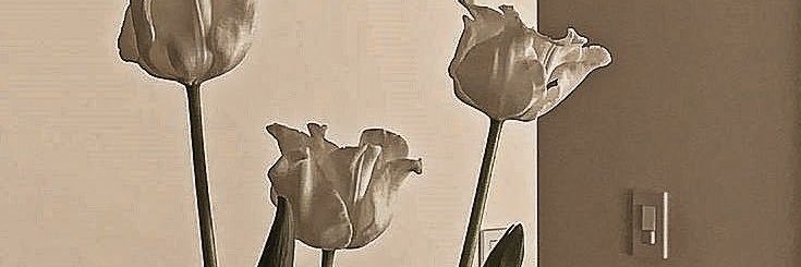 CYNTHIA60578095's profile banner image