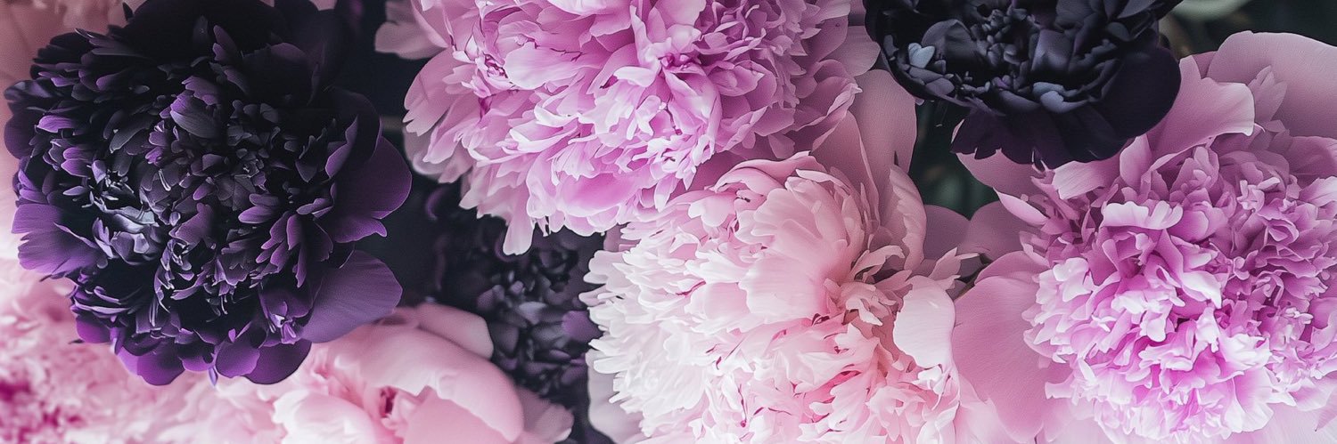 María Camila. banner