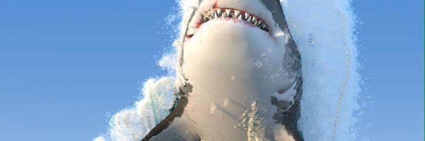 MarcozaSCMEG's profile banner image